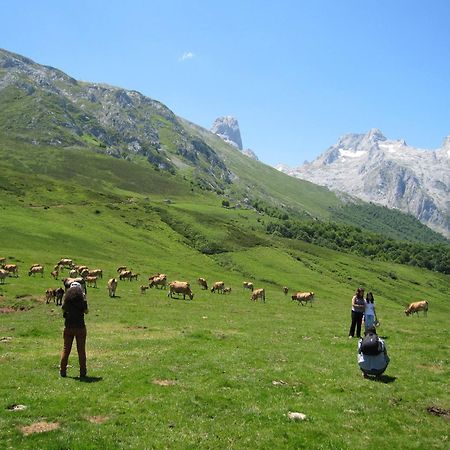 Hosteria Picos De Europa Potes Exteriér fotografie