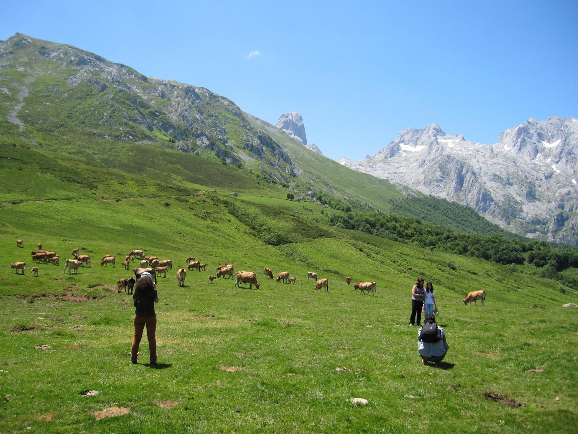 Hosteria Picos De Europa Potes Exteriér fotografie