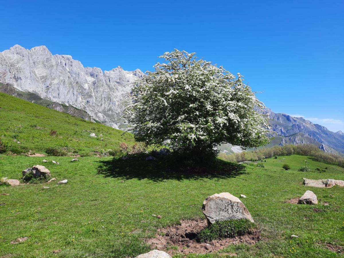 Hosteria Picos De Europa Potes Exteriér fotografie